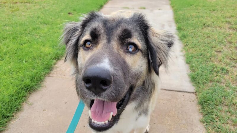 Farwell City Park - Farwell, TX