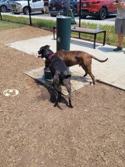 City of Fayetteville Dog Park - Fayetteville, GA