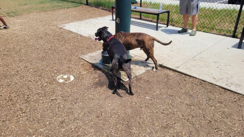 City of Fayetteville Dog Park - Fayetteville, GA