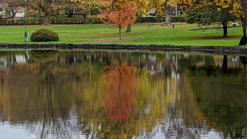 Beard Park - Fayetteville, NY