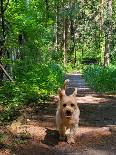 Duguid Park, Fayetteville, N.Y - Fayetteville, NY