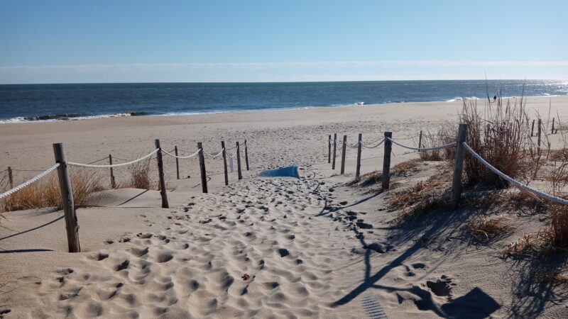 Fenwick Island State Park - Fenwick Island, DE