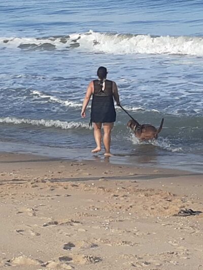 Fenwick Island State Park - Fenwick Island, DE