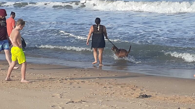 Fenwick Island State Park - Fenwick Island, DE