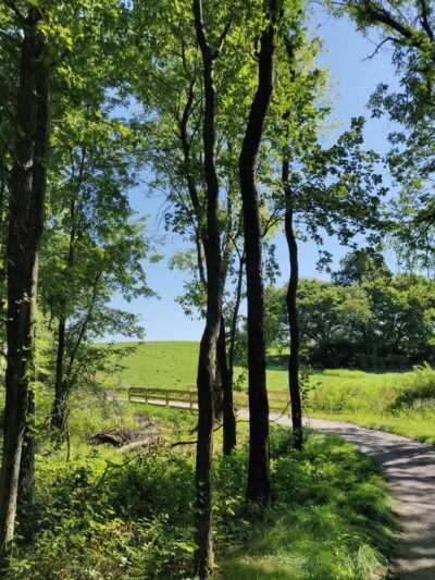 Old Town Lake Ferdinand, Indiana - Ferdinand, IN