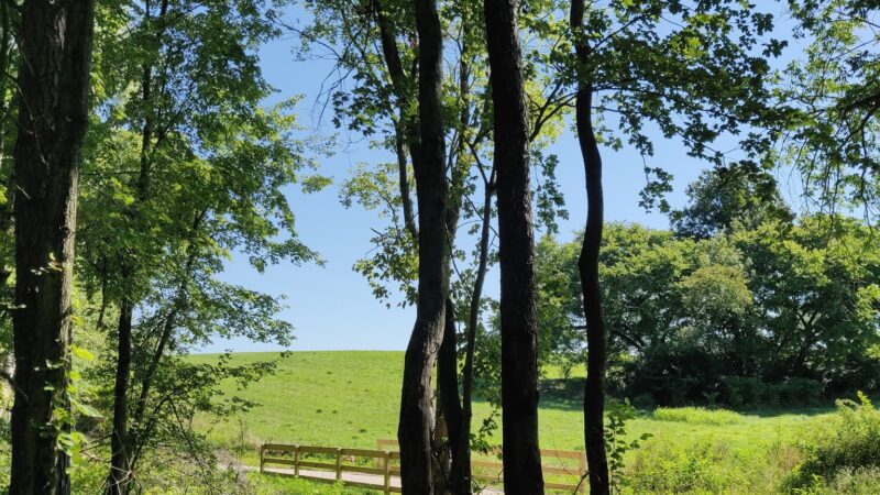 Old Town Lake Ferdinand, Indiana - Ferdinand, IN