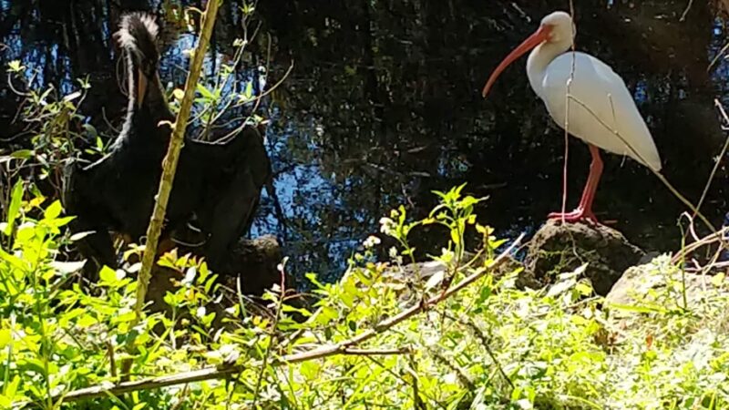 Egan's Creek Greenway Trail - Fernandina Beach, FL