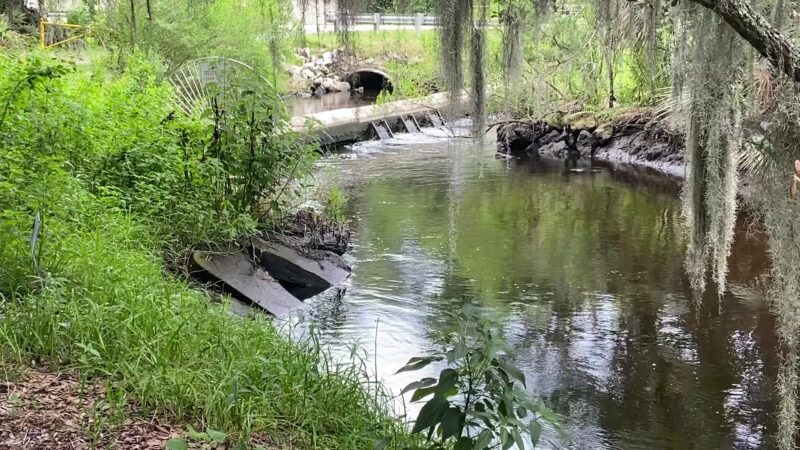 Egan's Creek Greenway Trail - Fernandina Beach, FL