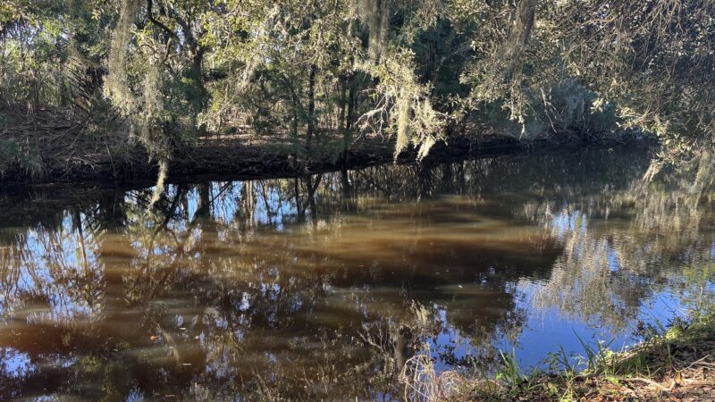 Egan's Creek Greenway Trail - Fernandina Beach, FL