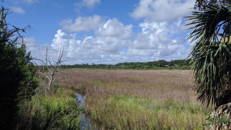 Egan's Creek Greenway Trail - Fernandina Beach, FL