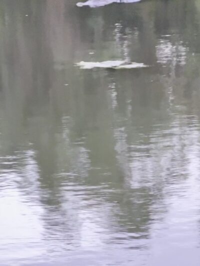 Egan's Creek Greenway Trail Parking - Fernandina Beach, FL