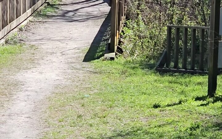 Egan's Creek Greenway Trail Parking - Fernandina Beach, FL