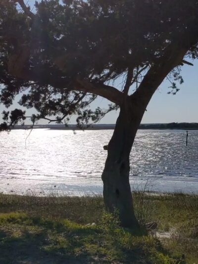 Fernandina Plaza Historic State Park - Fernandina Beach, FL