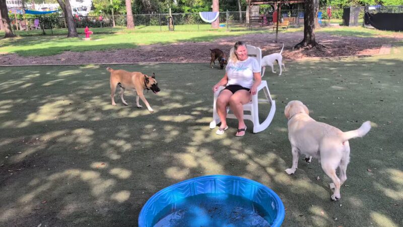 Nassau Humane Society - Fernandina Beach, FL