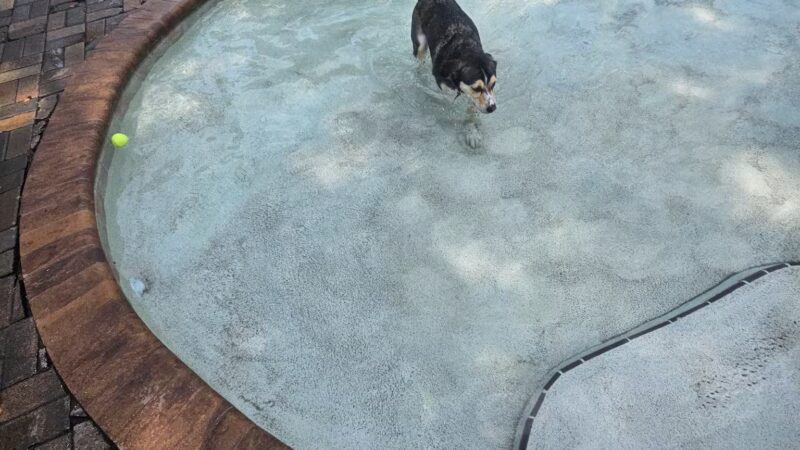 Nassau Humane Society - Fernandina Beach, FL