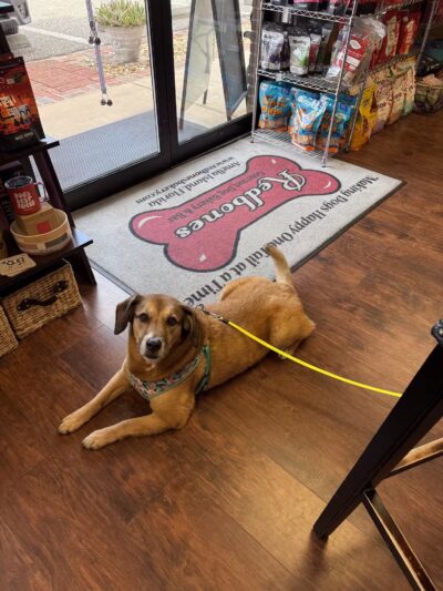 Redbones Dog Bakery & Boutique - Fernandina Beach, FL