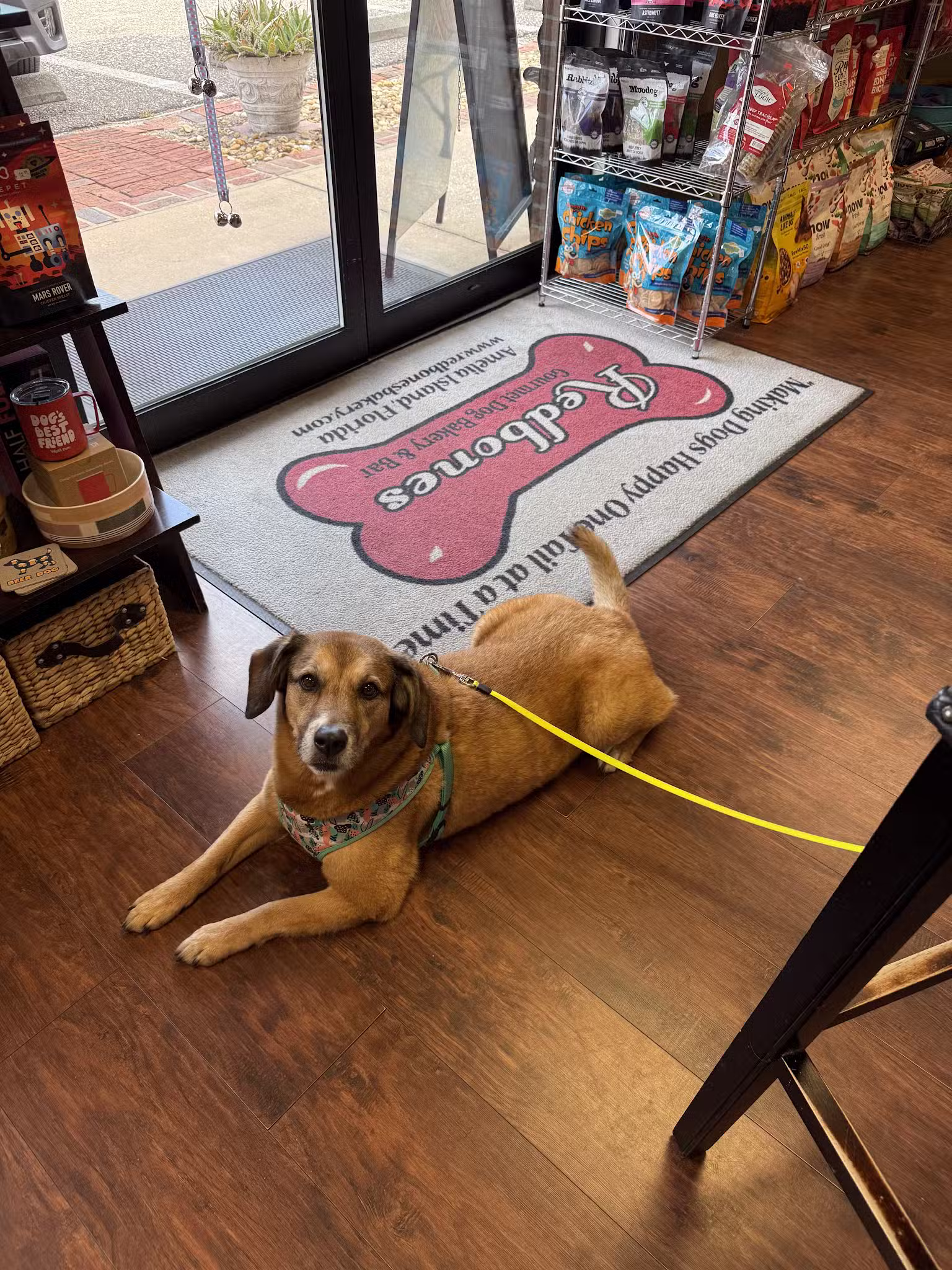 Redbones Dog Bakery & Boutique - Fernandina Beach, FL