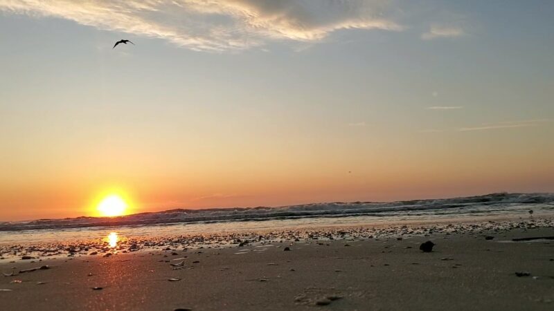 Seaside Park - Fernandina Beach, FL