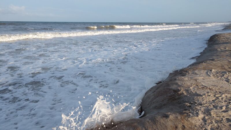 Seaside Park - Fernandina Beach, FL