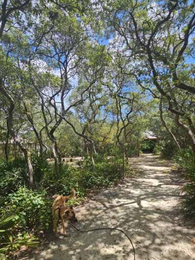 Simmons Road Park - Fernandina Beach, FL