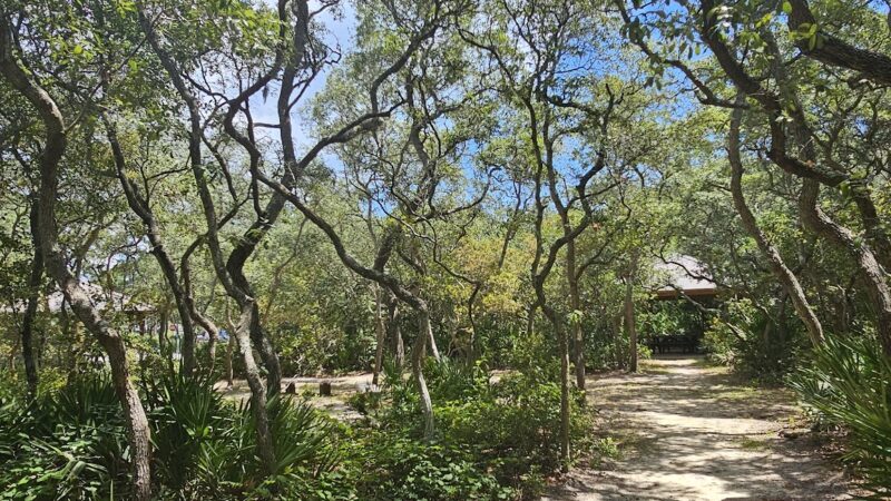 Simmons Road Park - Fernandina Beach, FL