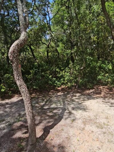 Simmons Road Park - Fernandina Beach, FL