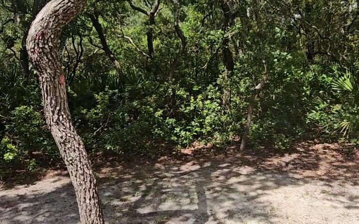 Simmons Road Park - Fernandina Beach, FL