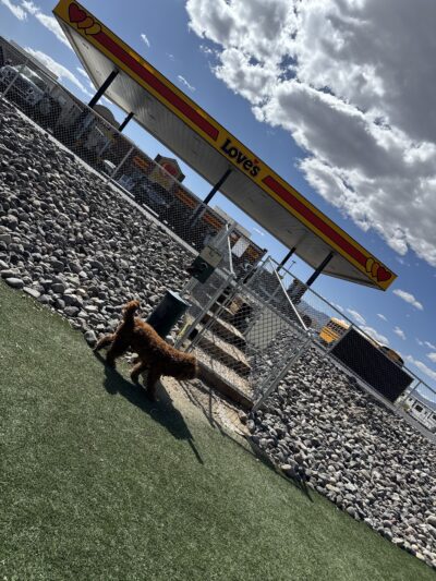 Dog Park at Love's Travel Stops - Fernley, NV