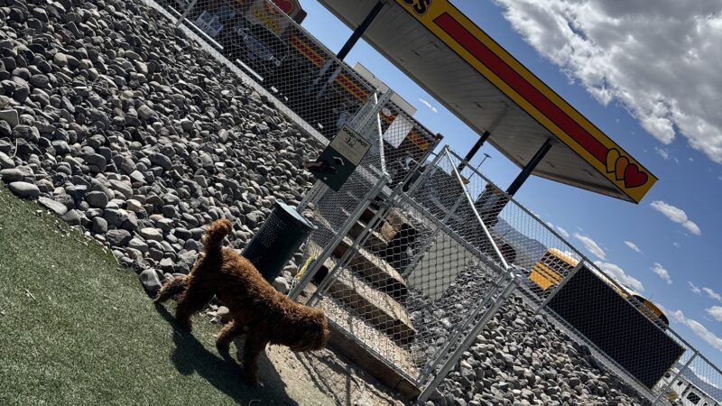Dog Park at Love's Travel Stops - Fernley, NV