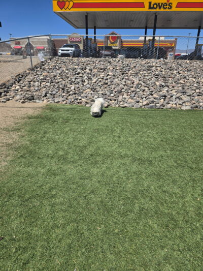 Dog Park at Love's Travel Stops - Fernley, NV