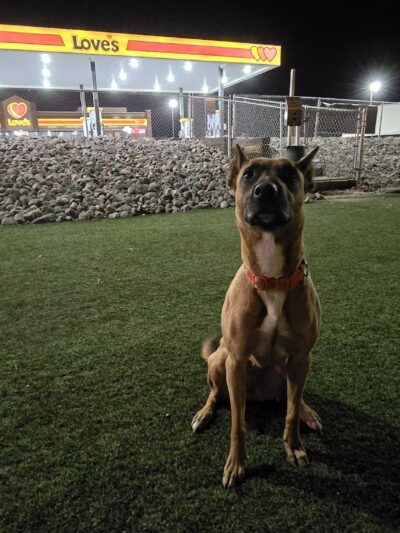 Dog Park at Love's Travel Stops - Fernley, NV