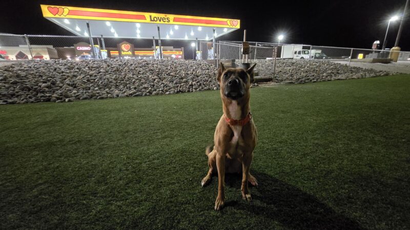 Dog Park at Love's Travel Stops - Fernley, NV