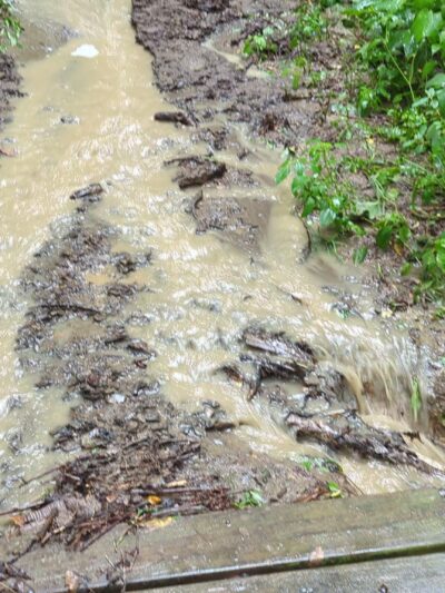 Bennett Hill Preserve - Feura Bush, NY