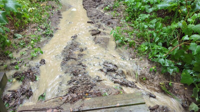 Bennett Hill Preserve - Feura Bush, NY