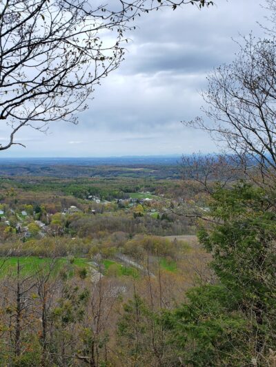 Bennett Hill Preserve - Feura Bush, NY