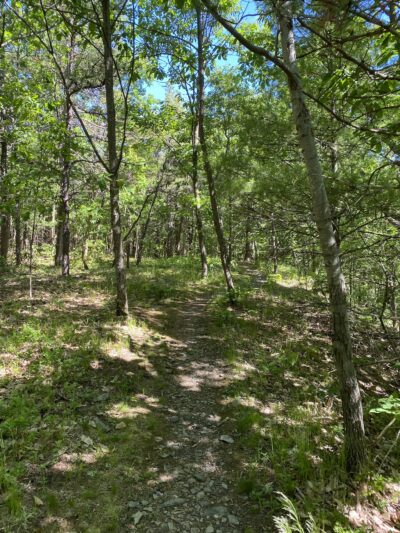 Bennett Hill Preserve - Feura Bush, NY