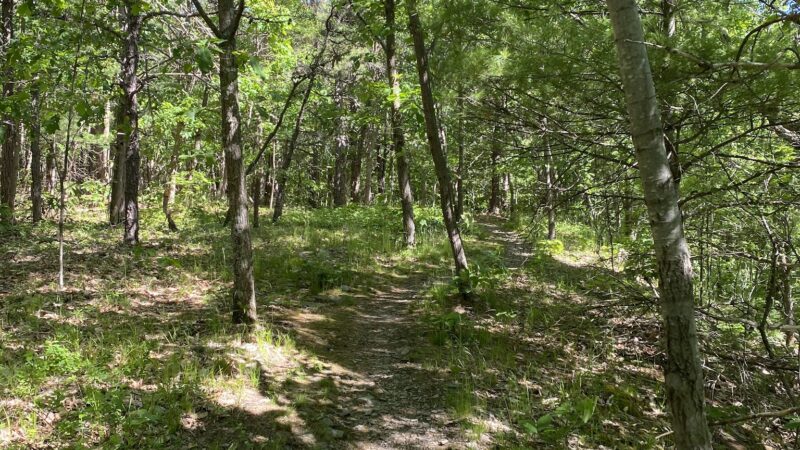 Bennett Hill Preserve - Feura Bush, NY