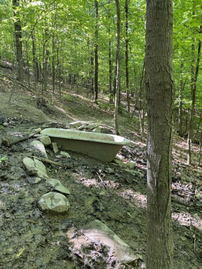 Bennett Hill Preserve - Feura Bush, NY
