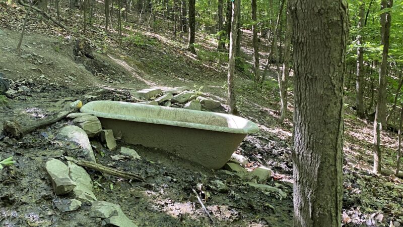 Bennett Hill Preserve - Feura Bush, NY