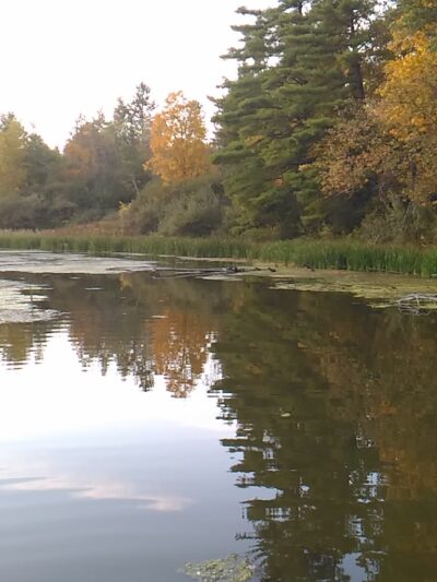 Feura Bush Town Park - Feura Bush, NY