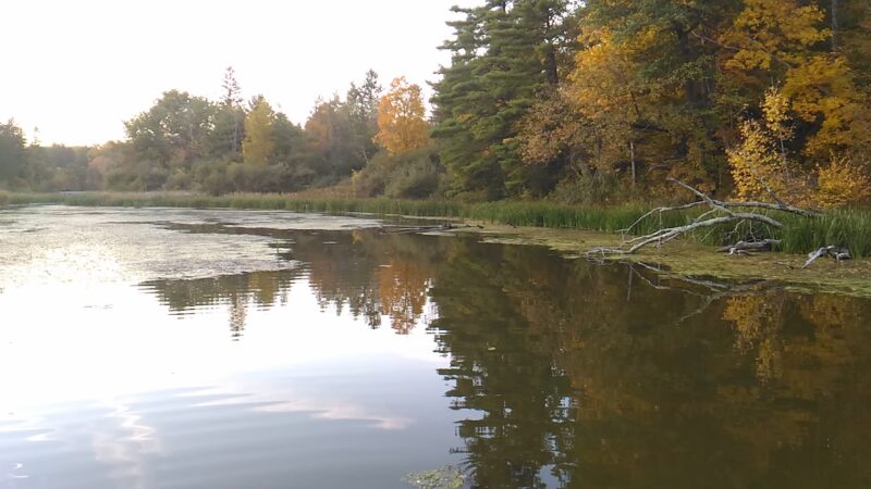 Feura Bush Town Park - Feura Bush, NY