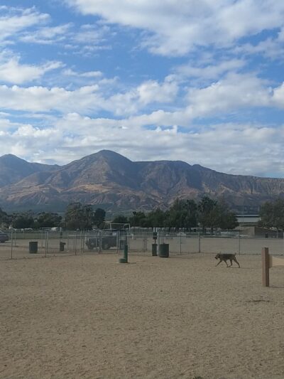 Fillmore Dog Park - Fillmore, CA