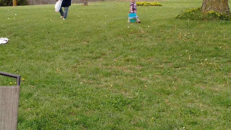 Fillmore Ball Park - Fillmore, MO