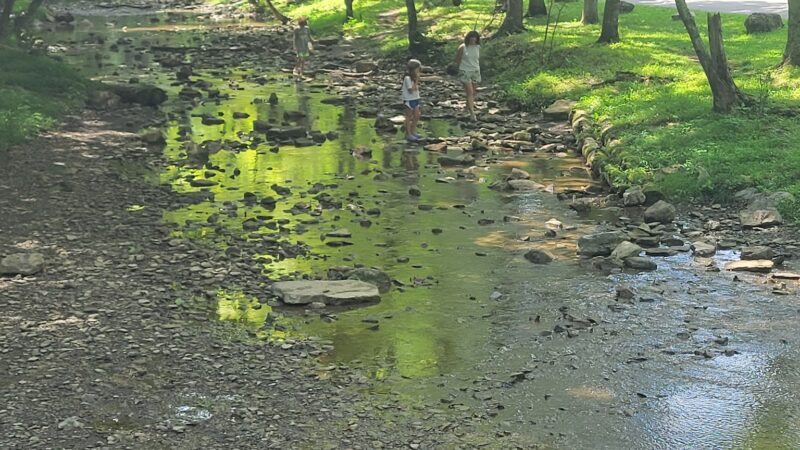 Mingo Park - Finleyville, PA