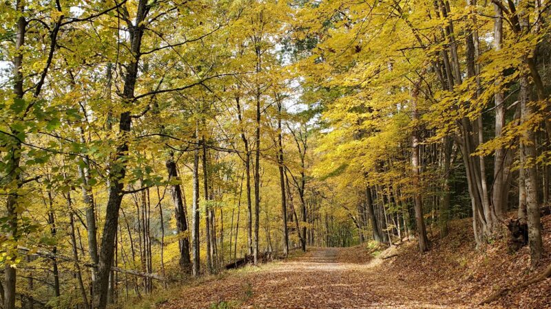 Mingo Park - Finleyville, PA