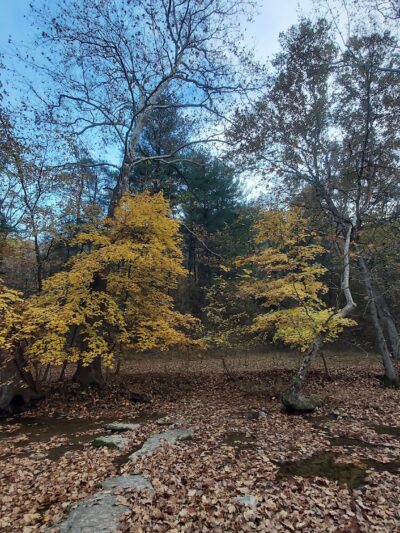 Mingo Park - Finleyville, PA