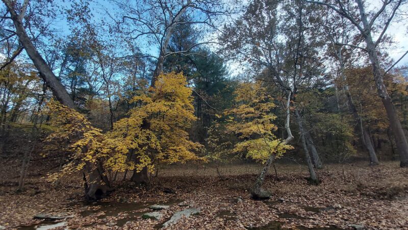 Mingo Park - Finleyville, PA