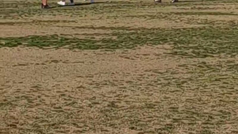 Maldonado Park - Firebaugh, CA