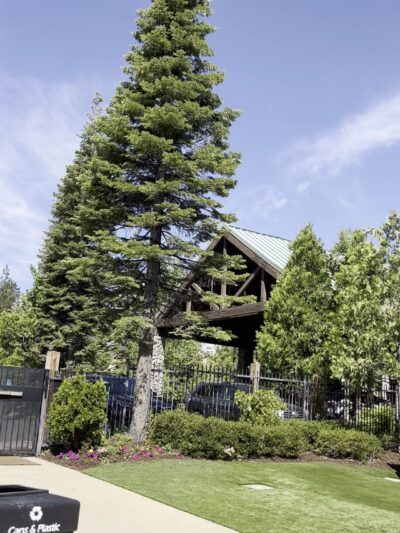 Tenaya Lodge at Yosemite - Fish Camp, CA