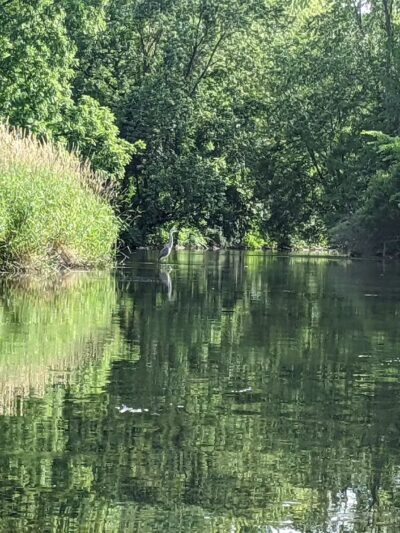 Doug Phillips Park - Fishkill, NY